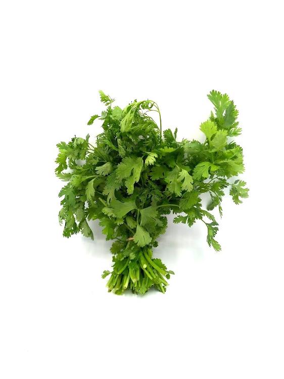 Coriandre EKI