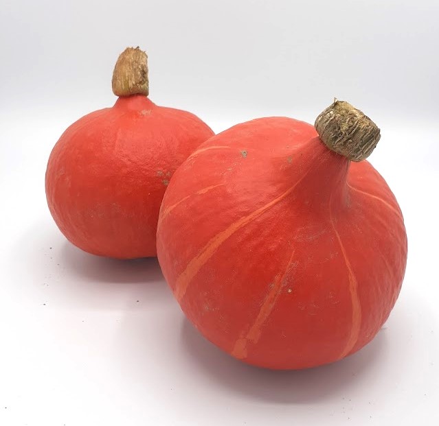 Potimarron orange PPR