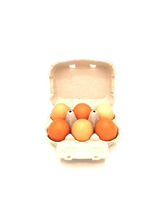 Œuf du jardin (quantités limitées) EKI