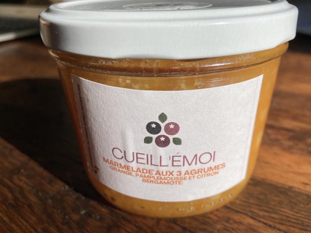 Marmelade 3 agrumes PPR