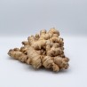Gingembre GRO (100 gr)