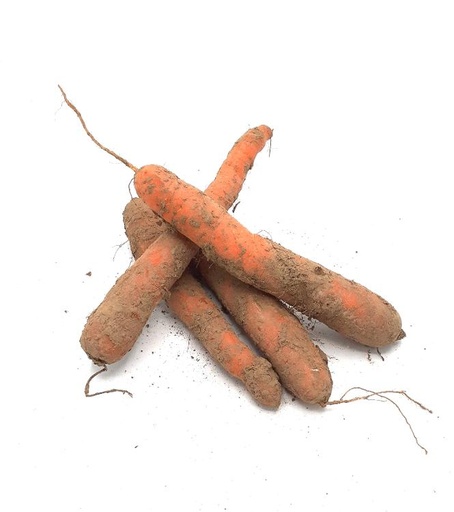 Carottes non lavées (sac 10 kg) PPR