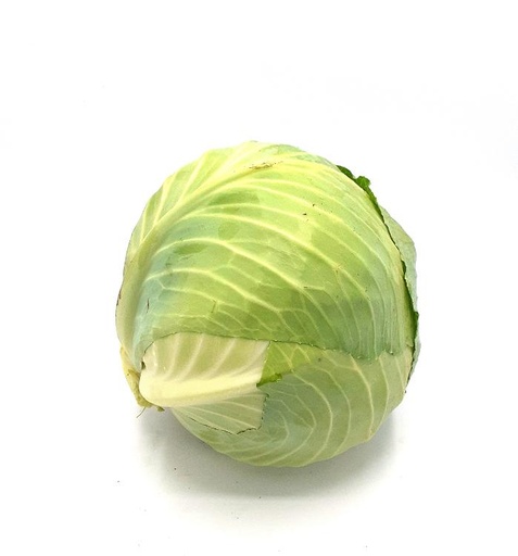 Chou blanc PPR