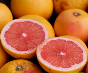 Pamplemousses (pomelo) GRO
