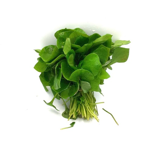 Pourpier d'hiver (Claytone) Vrac EKI