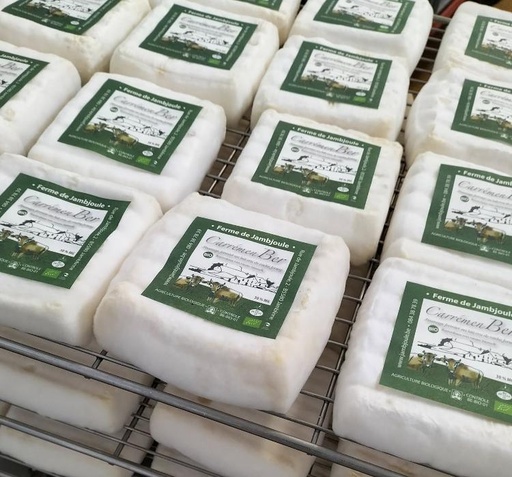 Carrémenbert - vache PPR