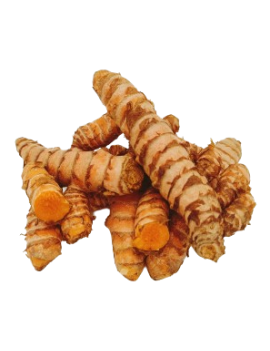 Curcuma GRO (copie)