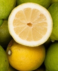 Citrons GRO (100 gr)